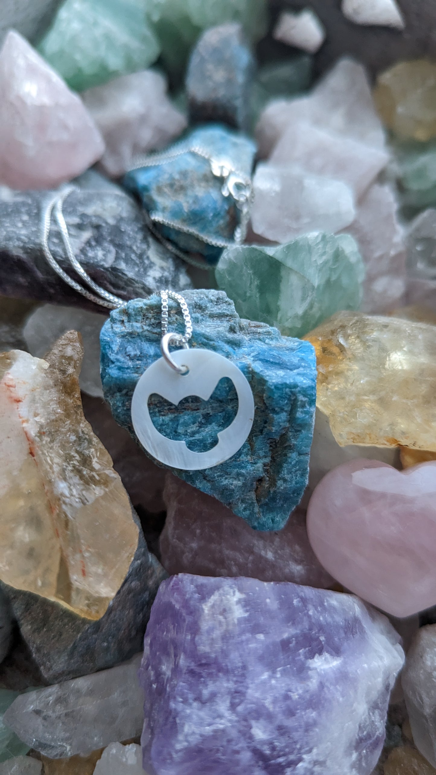 Bird Shell Necklace